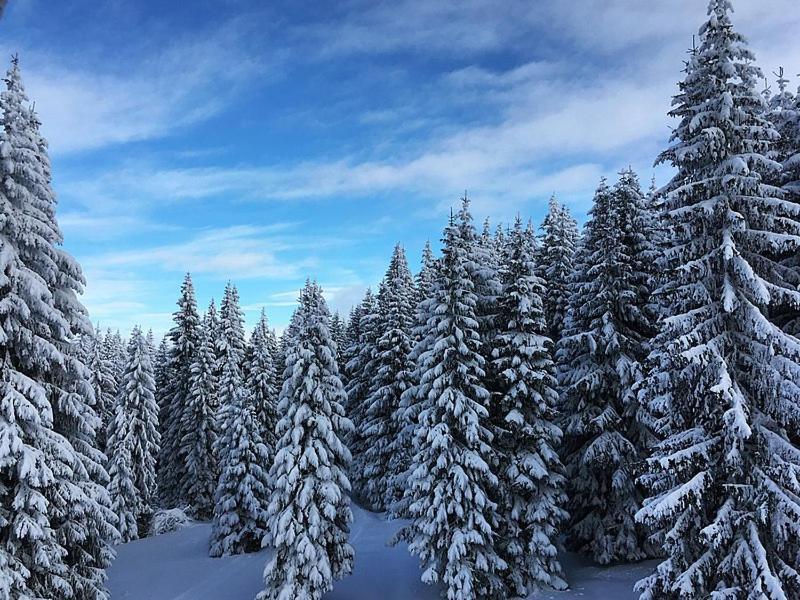 Sunset View Ski & Spa Apartments Kopaonik Exterior photo